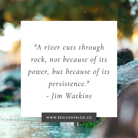 50+ Quotes About Persistence - Resilient