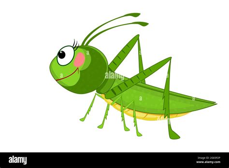 Cricket Insect Clipart Pictures