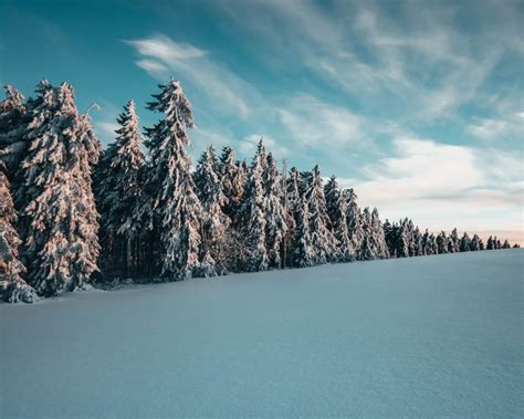 Wallpaper Daytime, Tree, Winter, Blue, Mountain, Background - Download ...