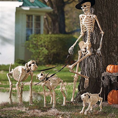 Shadow the Skeleton Dog on Leash | Grandin Road | Halloween outside, Halloween skeletons ...