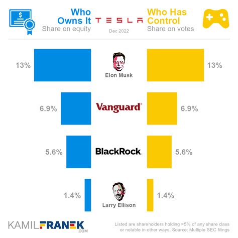 Who Owns Tesla: The Largest Shareholders Overview - KAMIL FRANEK ...