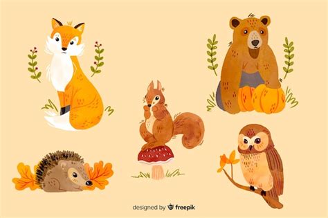 Autumn Animal Clipart - Free Download | Unique Illustrations - Clip Art ...