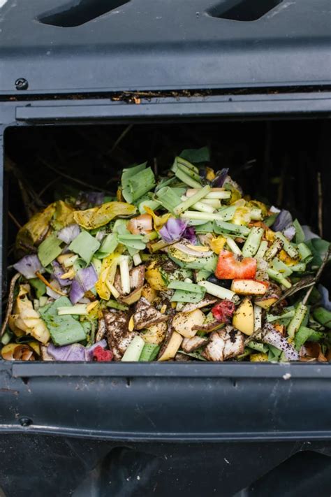 How to Compost with a Compost Tumbler (Tips for Beginners) - The Rooted Farmhouse | Gardening ...