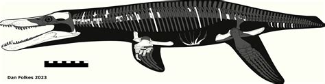 A (brief) description of Pliosaurus carpenteri, and comments on pliosaur size estimation ...