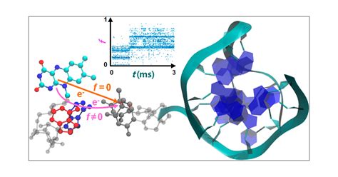 Adenine Fine-Tunes DNA Photolyase’s Repair Mechanism | The Journal of Physical Chemistry B