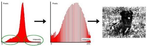 OpenCV: Histogram Equalization