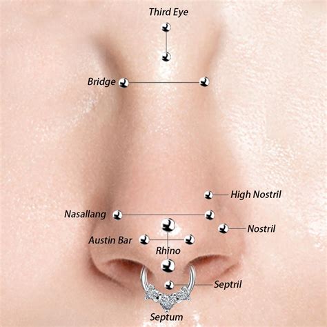 From top to bottom, the nose piercings include the third eye, the ...