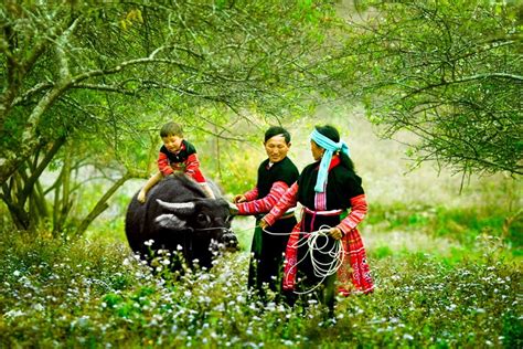 Cao nguyên Sơn La Mộc Châu – Hoà mình say đắm nơi thảo nguyên xanh bao la đầy nắng và gió!