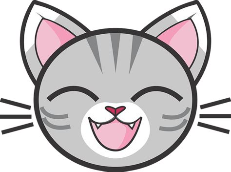 Grå Tabby Kat Sølv - Gratis billeder på Pixabay - Pixabay