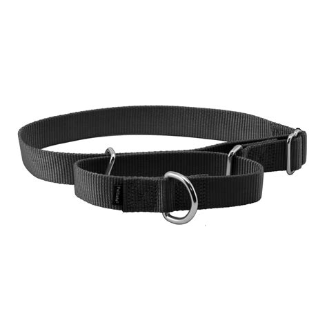 Martingale Collar | PetSafe®