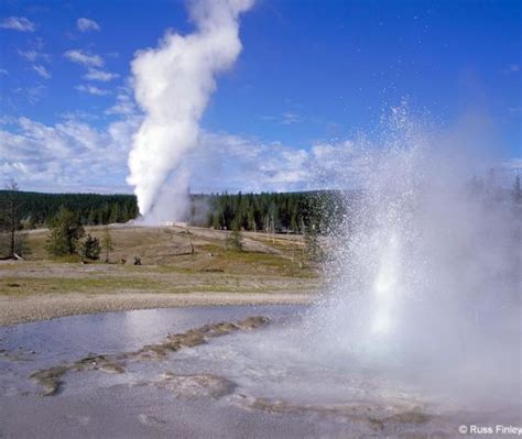 The Geysers of Yellowstone