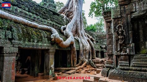 Discover Ta Prohm Temple: Ancient Beauty & Mystery Unveiled