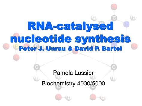 PPT - RNA-catalysed nucleotide synthesis Peter J. Unrau & David P. Bartel PowerPoint ...