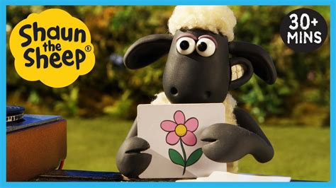 Shaun the Sheep🐑 Full Episodes 🐝🐟 Birds, Bees and Fish (Wildlife ...