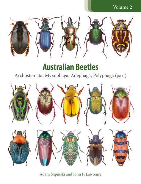 Australian Beetles