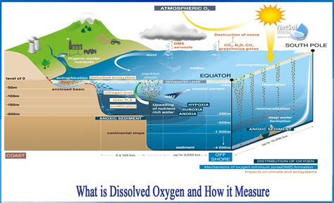 What Units Is Dissolved Oxygen Measured In - Printable Templates Protal