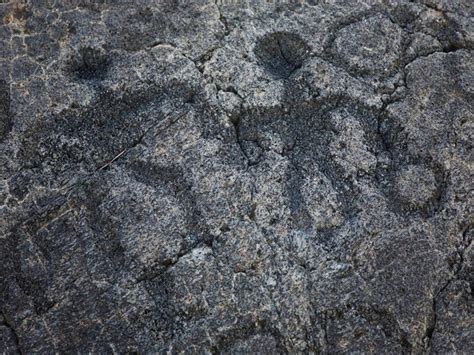 Hawaiian Petroglyphs | Petroglyphs - rock etching - stories placed in…