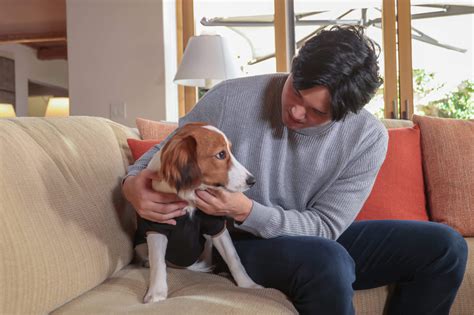 Dodgers’ Shohei Ohtani reveals dog Dekopin also has American name: ‘It ...