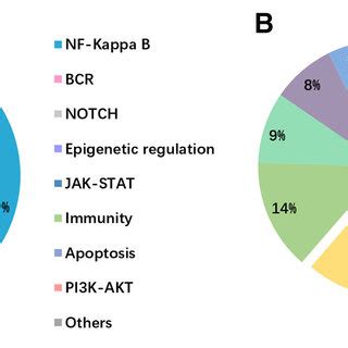 Mutation frequencies in PCNSL cohort. (A) The distribution and... | Download Scientific Diagram