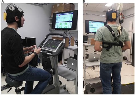 Frontiers | WAUC: A Multi-Modal Database for Mental Workload Assessment Under Physical Activity