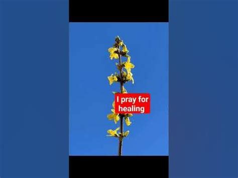 Praying for healing in all circumstances. #praise and worship - YouTube