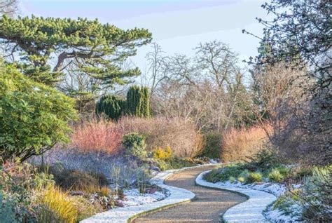 Cambridge University Botanic Garden