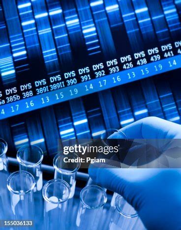 Genetic Research At The Laboratory High-Res Stock Photo - Getty Images