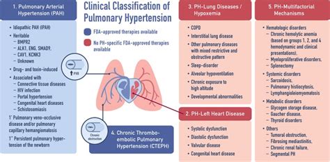 Emerging therapeutics in pulmonary hypertension. - Abstract - Europe PMC