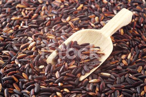 Thai Black Rice Stock Photo | Royalty-Free | FreeImages