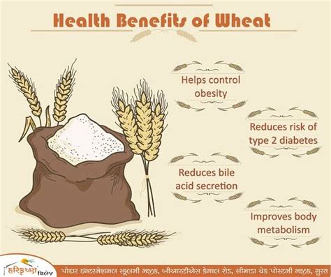 Benefits of wheat. – MQUBE.ng