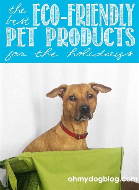 The best eco-friendly pet products - OhMyDog!