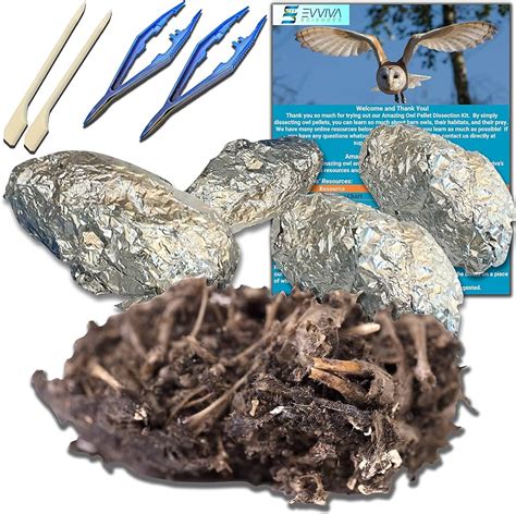 Owl Pellet Dissection Mini-Kit | Carolina Biological Supply ...