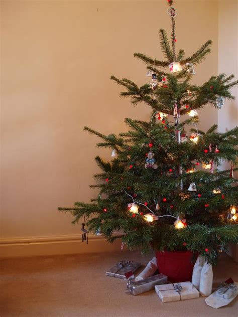 Photo of christmas tree presents | Free christmas images