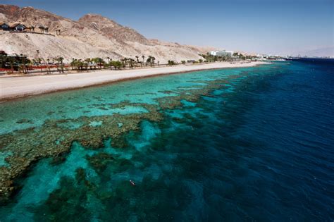 Scuba diving in Sharm El-Sheikh, Hurghada & Dahab | ZuBlu