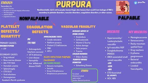 Purpura Differential Diagnosis Framework Nonblanchable Grepmed 2232 | The Best Porn Website