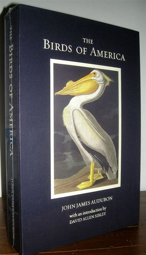 Audubon Birds Of North America