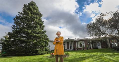 N.S. family donates giant spruce as 2023 Christmas Tree for Boston: ‘It ...