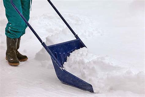 Snow Removal Tool Must Haves - Indoor Plants