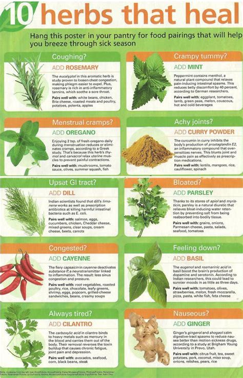 herbs and spices chart pdf