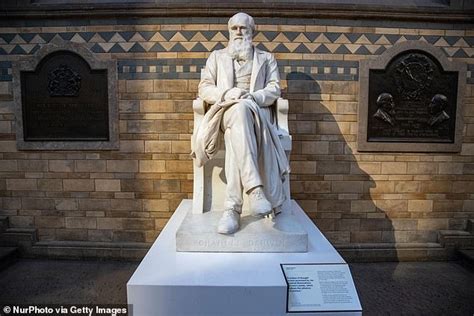 Natural History museum will review Charles Darwin exhibitions because ...