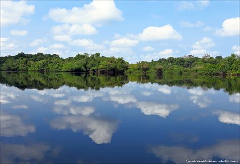 Qué ver en Manaos, una ciudad en mitad del Amazonas - Con arena en la ...