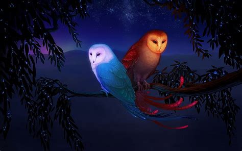 Online crop | HD wallpaper: illustration of two owls, night, birds ...