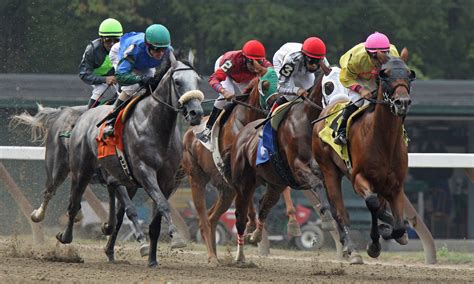 Belmont Stakes 2024 Post Positions Contenders And Odds - Odele Genovera