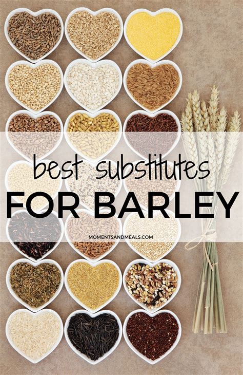 Best Substitute for Barley: Gluten-Free, Flour, Flakes, Pearl Barley ...