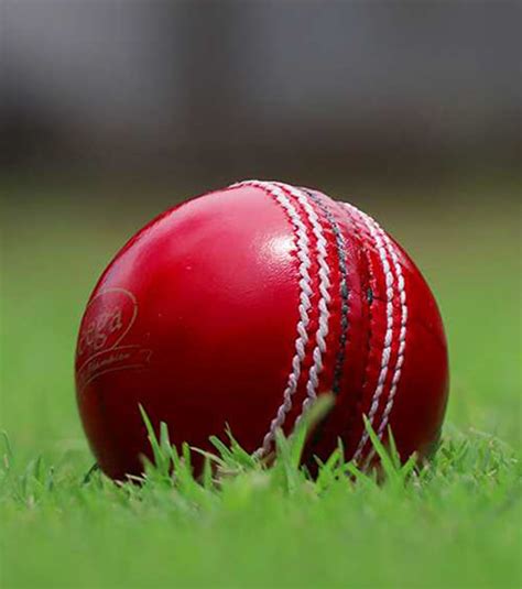 List of All the Types of Balls Used in the Cricket