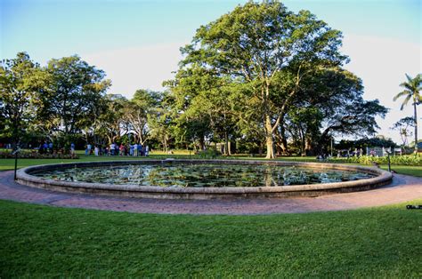 Experience the Durban Botanic Gardens with a picnic!