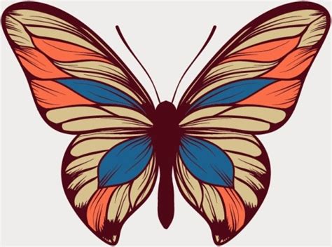 Original design butterfly vector Vectors images graphic art designs in editable .ai .eps .svg ...