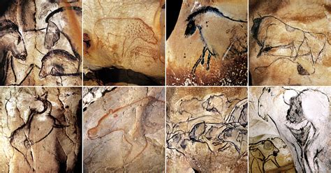 Gallery of Cave Art Paintings from the Chauvet Cave