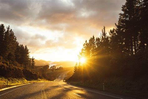 winding road in front of sunset | North island new zealand, Road, Sunset