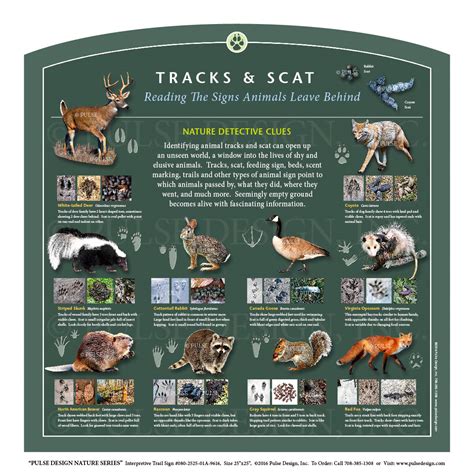 Outdoor Interpretive Nature Trail Sign in Animals & Wildlife Series: Animal Tracks & Scat ...